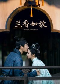兰香如故封面-免费剧场