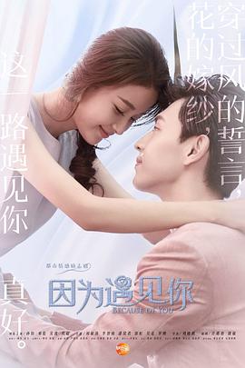因为遇见你海报-免费剧场