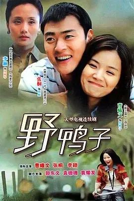 野鸭子海报-免费剧场