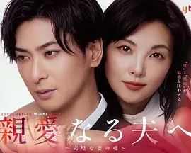 致亲爱的丈夫 完美妻子的谎言海报-免费剧场