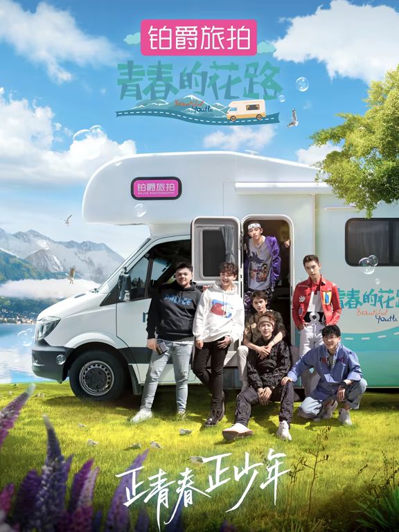 青春的花路封面-免费剧场