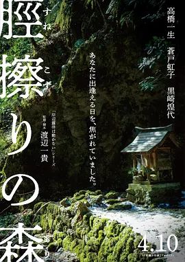 胫擦之森海报-免费剧场