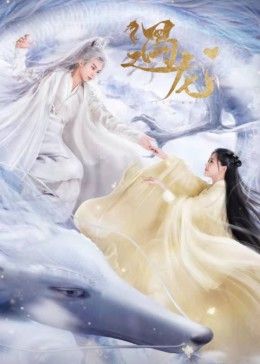 遇龙封面-免费剧场