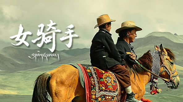 女骑手海报-免费剧场