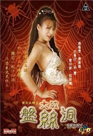 齐天大性II大破盘丝洞封面-免费剧场