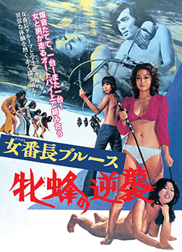 女番长布鲁斯：雌蜂的逆袭封面-免费剧场
